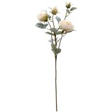  Rezano cvijeće ruža bijela, 69 cm | shoptok.hr