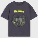 Sinsay Komplet od žerseja How to train your dragon | shoptok.hr