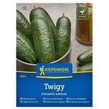 KIEPENKERL Zelenjavna semena Kumara Twigy F1 (Cucumis sativa, Čas žetve: Julij) | Shoptok.si