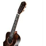AUDIO KONDRIC Ukulele Ortega RUET-ZC+Torba - - Audio-Kondric | Shoptok.si