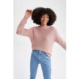 Defacto Regular Fit Crew Neck Pullover | Shoptok.si