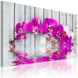  Slika - harmony: orchid 60x40 Cijene