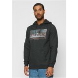 Mister Tee Can't Hang With Us Hoody Charcoal | Shoptok.si