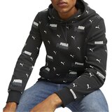 Puma Duks Ess+ Logo Power Aop Hoodie Fl 673368-01