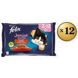 Felix Vlažna hrana za mačke prelivi Junior, 48x85g | Eponuda.com