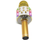 Manta mikrofon bežični sa zvučnikom i karaoke funkcijom, LED rasvjeta MIC20-GL | shoptok.hr