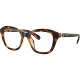 Swarovski SK2042U 1002 L (50) Havana/Kristalna | Shoptok.si
