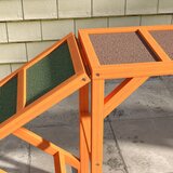  Rampa za pse Agility staza s preprekama protuklizna otporna na vremenske uvjete drvena 335 x 55 x 60 cm narančasta | shoptok.hr