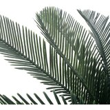  Umjetna cikas palma s posudom zelena 125 cm | shoptok.hr