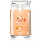 Yankee Candle Mango Ice Cream mirisna svijeća Signature 567 g Cijene