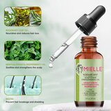 KUDA U KUPOVINU Mielle biljni serum za rast i jačanje kose Cene