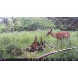 OXE Fotozamka Gepard + 32GB SD kartica i 4 baterije GRATIS! | shoptok.hr