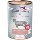 Terra Canis Varčno pakiranje Alimentum Veterinarium Intestinal 12 x 400 g - Teletina