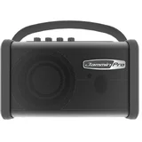 bluetooth zvučnik/digitalno pojačalo GX-5/ crna