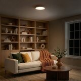  Brilagi - LED plafonjera MATTEO LED/24W/230V prečnika 31 cm taupe | Eponuda.com