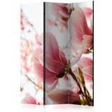  Paravan u 3 dijela - Pink magnolia [Room Dividers] 135x172 Cijene