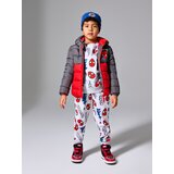 Sinsay Jogger hlače Spider-Man | shoptok.hr