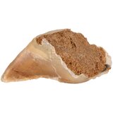 Trixie parkelj za žvečenje z mesno pašteto - Varčno pakiranje: 10 x 115 g | shoptok.hr