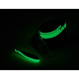 DREAMTOYS Ovratnica S Povodcem Radiant Glow In The Dark Green | Shoptok.si