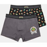 Sinsay Komplet od 2 para bokserica s visokim udjelom pamuka Teenage Mutant Ninja Turtles | shoptok.hr