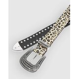Broken Promises Leopard Lust Rhinestone Pas assorted | Shoptok.si