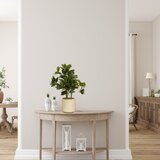 Dekordom Cvet u saksiji schefflera - n58 ( 025187 ) u