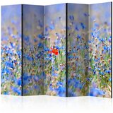  Paravan u 5 dijelova - A sky-colored meadow - cornflowers II [Room Dividers] 225x172 | shoptok.hr