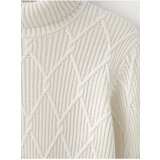 LC Waikiki Men's Turtleneck Long Sleeve Knitwear Sweater | ePonuda.com