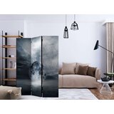 Paravan u 3 dijela - The lost planet [Room Dividers] 135x172 | shoptok.hr