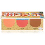 TheBalm Voyage Tropics bronzer in rdečilo 8,5 g Cene