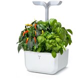  Exky® SMART Arctic White Kučni Vrt | shoptok.hr