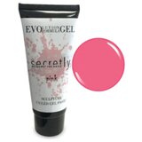  SECRETLY EVOGEL PINK 60GR | Eponuda.ba