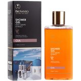 Biosanto Gel za tu&scaron;iranje z izvlečkom grozdja OIA (200 ml) cene