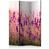 Paravan u 3 dijela - Lavender in the Rain [Room Dividers] 135x172 | shoptok.hr