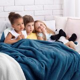 AmeliaHome Deka Shleepy 220x240 cm, indigo | shoptok.hr