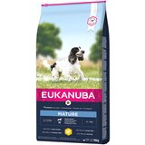 Eukanuba Thriving Mature Medium Breed piščanec - Varčno pakiranje: 2 x 15 kg Cene