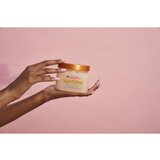 TREE HUT Shea Sugar Scrub Tropical Mango sladkorni piling z karitejevim maslom 510 g | Shoptok.si