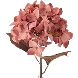 Bloomingville Umjetna biljka (visina 65 cm) Hydrangea – | shoptok.hr