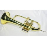  Soprano Flugelhorn DC-005L sa koferom | Eponuda.ba