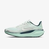 Nike W air zoom pegasus 41 Cene