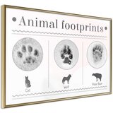  Poster - How to Recognize an Animal 30x20 | shoptok.hr