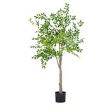 Dekordom drvo - money tree n60 -150cm( 025144 ) | ePonuda.com