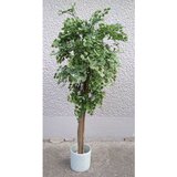 Lilium zeleno sitnolisno stablo 140cm 875631 | Eponuda.com