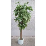 zeleno sitnolisno stablo 140cm 875631