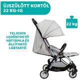 Chicco kolica goody plus, greymist A058941 | Eponuda.com