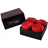 Kesi Rainbow Socks Eternal Roses 2 Pairs | Shoptok.si