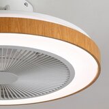Brilagi LED prigušiva plafonski ventilator LED/38W/230V 50 cm bela/smeđa + daljinski upravljač | Eponuda.com