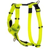 Rogz fanbelt control am za pse, l, limeta Cene