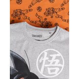 Sinsay Komplet dvodijelne pidžame Dragonball | shoptok.hr