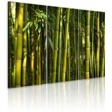  Slika - Green bamboo 60x40 Cijene